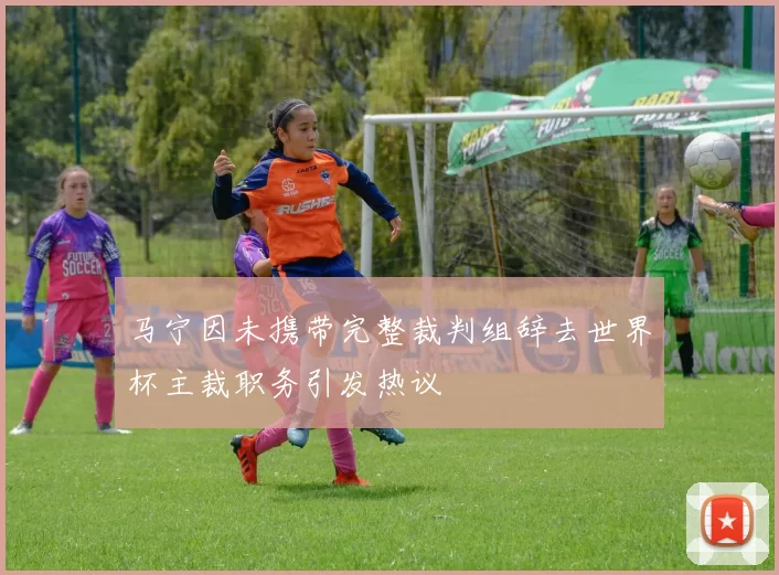 马宁因未携带完整裁判组辞去世界杯主裁职务引发热议